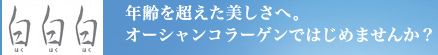 ������ ���e�t